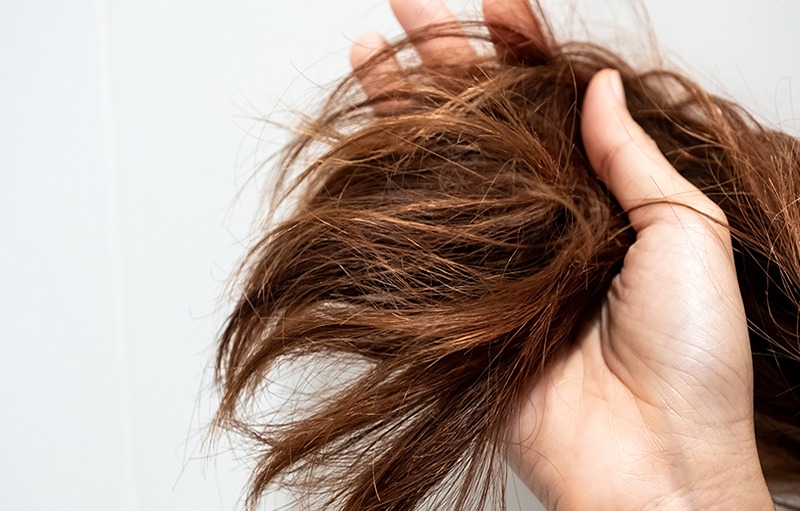 Home Remedies for Dry Hair