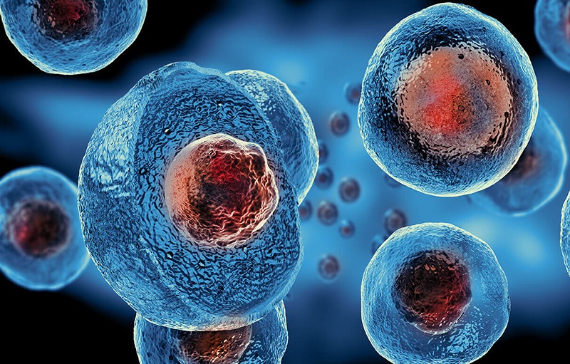 Stem cell therapy – What do you know about it?