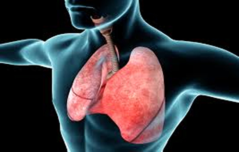 Sleep Hypoventilation May Be A Cause For Heart Failure