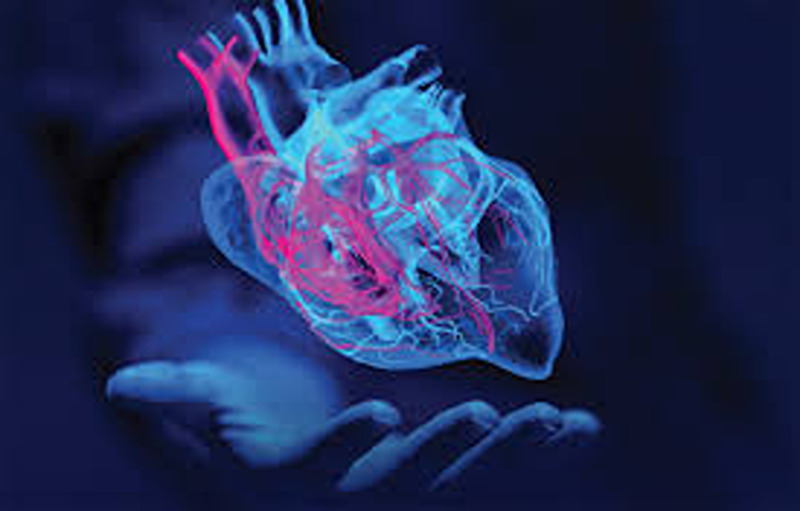 How Hypertrophic Cardiomyopathy(HCM) Is Responsible For A Sudden Cardiac Arrest?