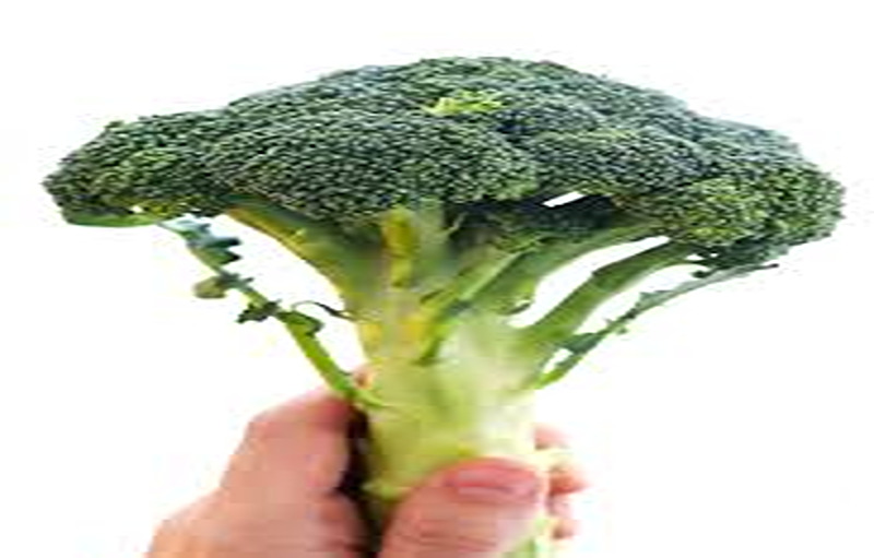 What Does Eating Broccoli Do For Your Body?