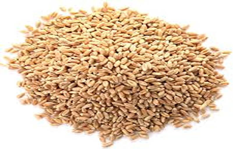 Top 5 Benefits Of Natural Vitamin E Wheat Germ Oil Supplement, 500mg (60 Capsules)