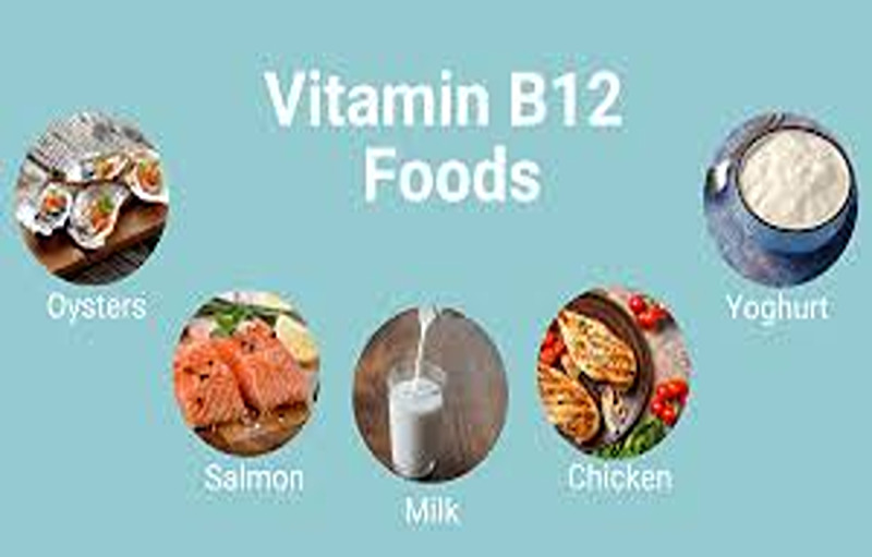What Are The Benefits Of Vitamin B12?