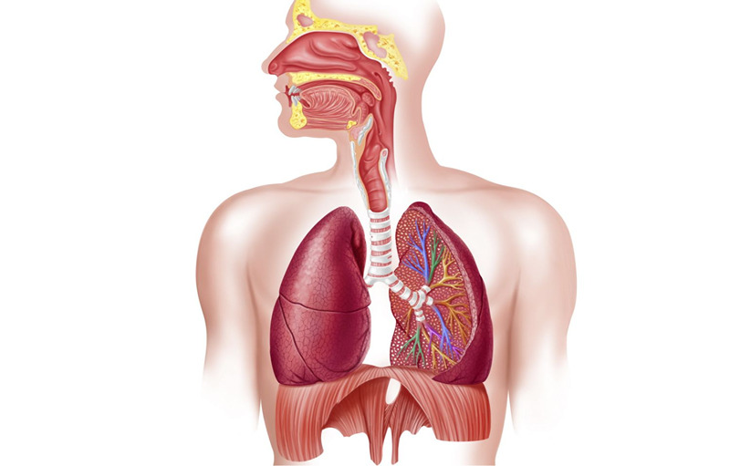 Simple Ways To Prevent Respiratory Tract Infections