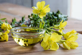 What Are The Benefits Of Evening Primrose Oil?