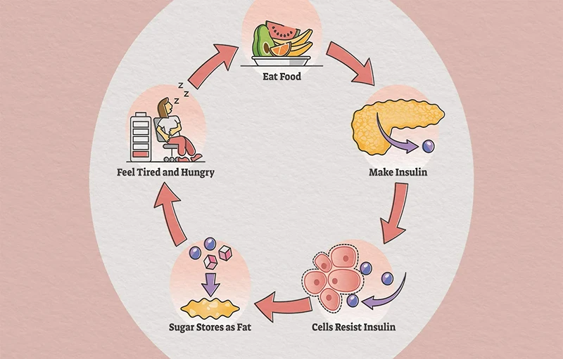 Insulin Resistance Explained: Causes, Early Symptoms, and How to Reverse It Naturally