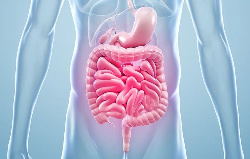 Gut Health: Why It Matters and How to Improve It