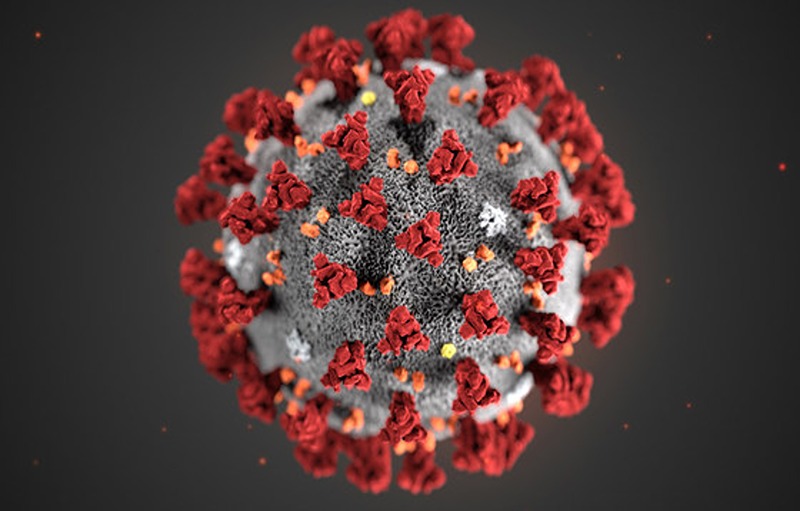 Echo
